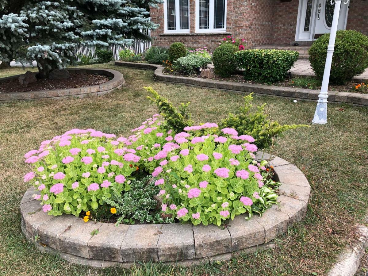 Comfort Rooms Near Toronto Airport Mississauga Zewnętrze zdjęcie